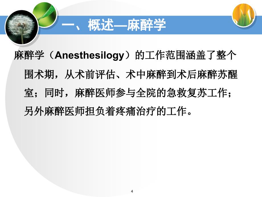 麻醉科入科教育ppt课件_第4页