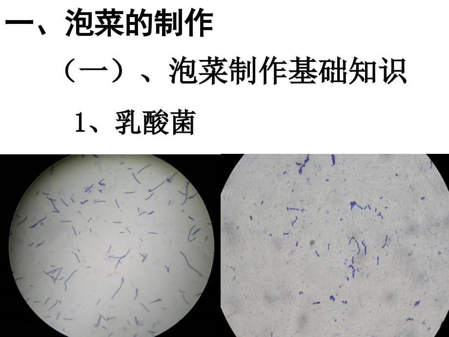 新人教版高中生物选修1泡菜的制作课_第5页