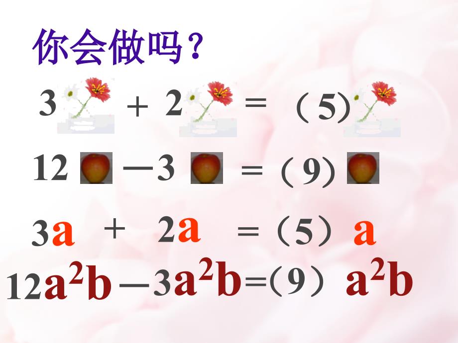 合并同类项富源县大河镇第一中学王梦飞_第4页