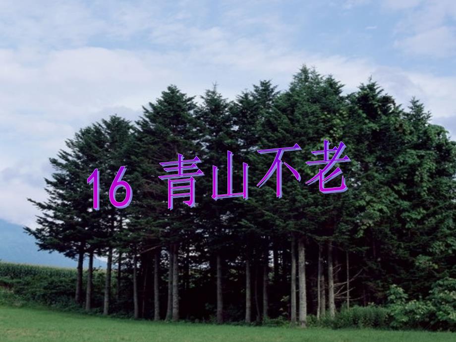 16、青山不老_第1页