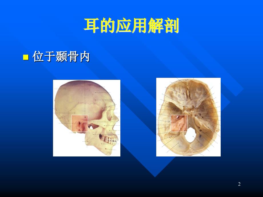 耳鼻咽喉课件：2014朱翌耳科学1耳的应用解剖_第2页