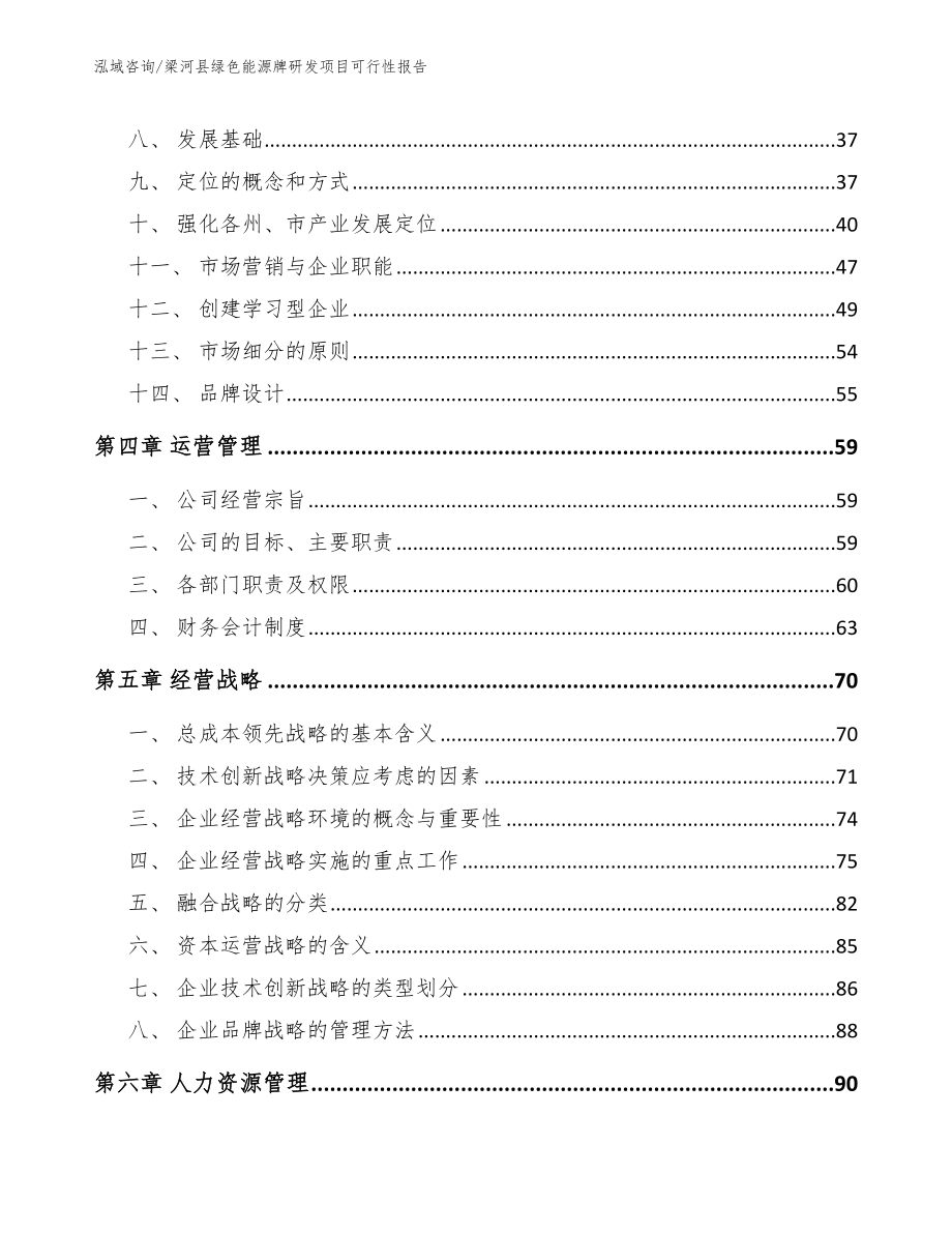 梁河县绿色能源牌研发项目可行性报告（参考模板）_第2页