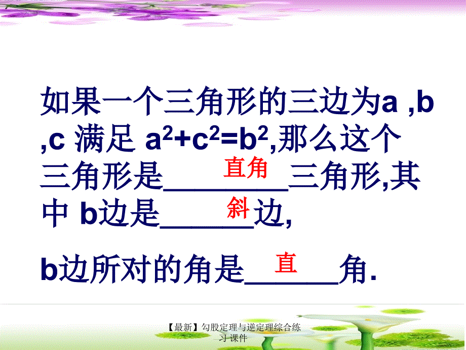 最新勾股定理与逆定理综合练习课件_第3页