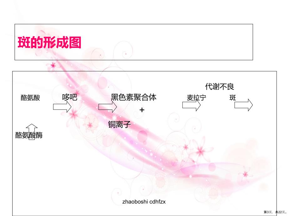 斑的分类及特点课件_第3页