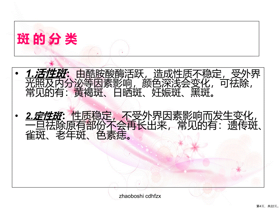 斑的分类及特点课件_第4页