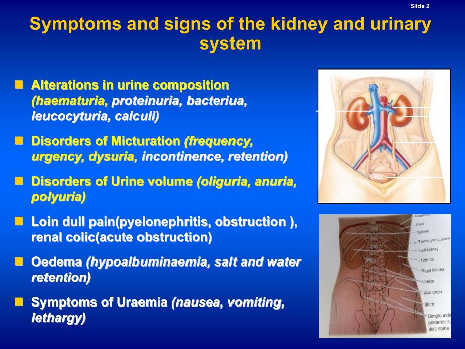 症状学12尿频血尿_第2页