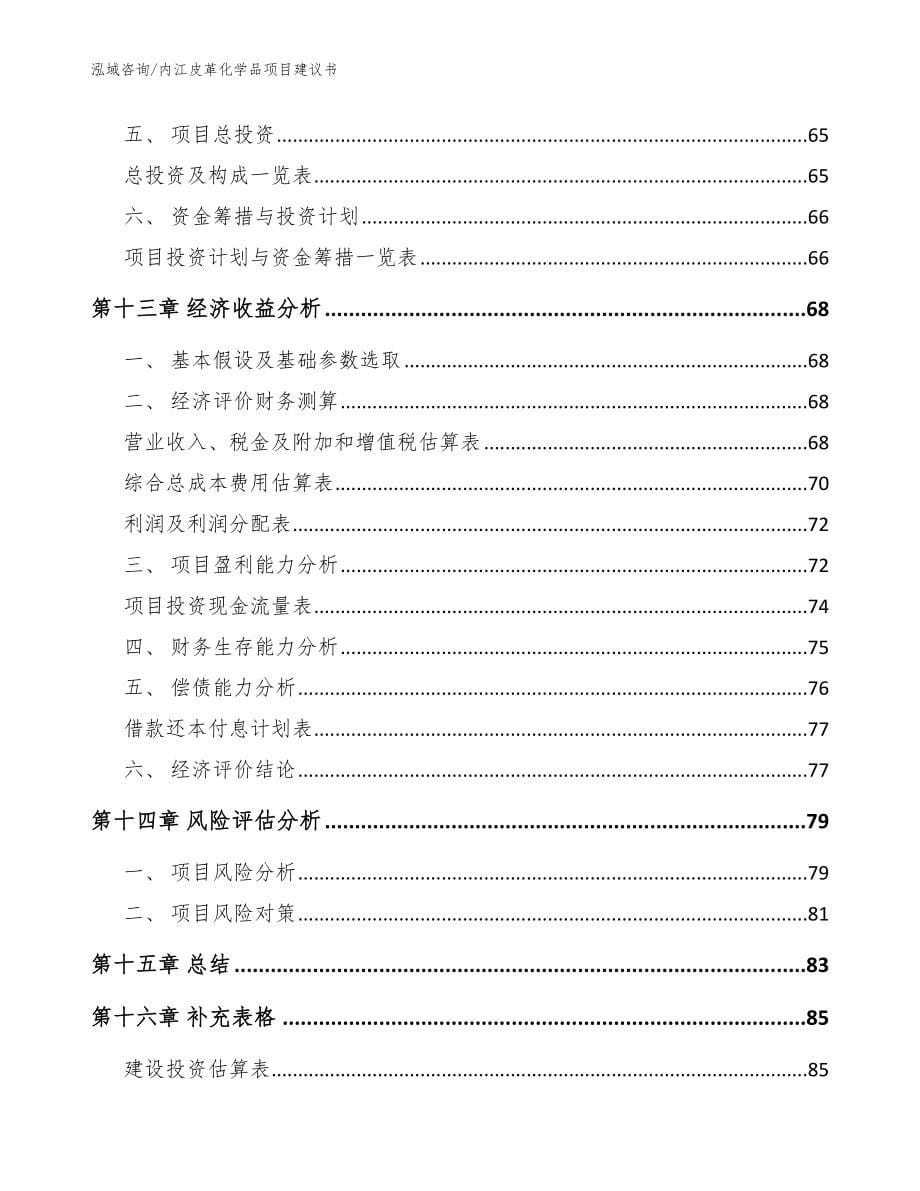 内江皮革化学品项目建议书【参考模板】_第5页