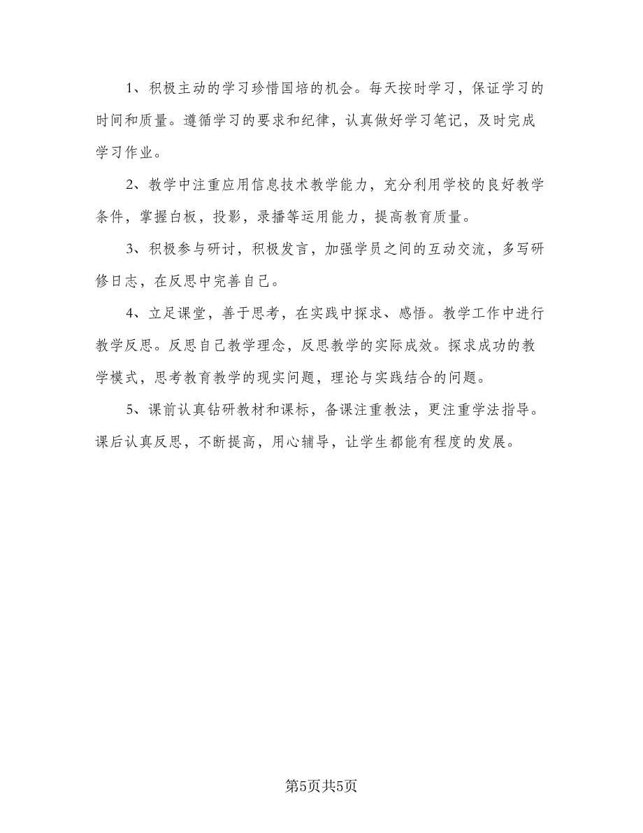 教师信息技术应用能力提升研修计划格式范文（2篇）.doc_第5页