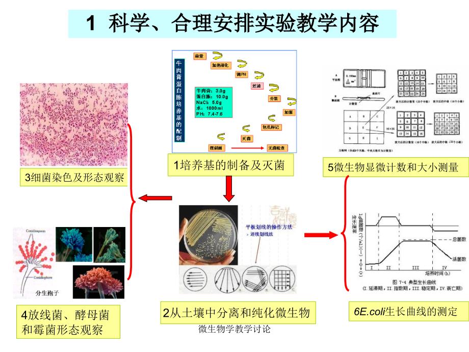 微生物学教学讨论课件_第2页