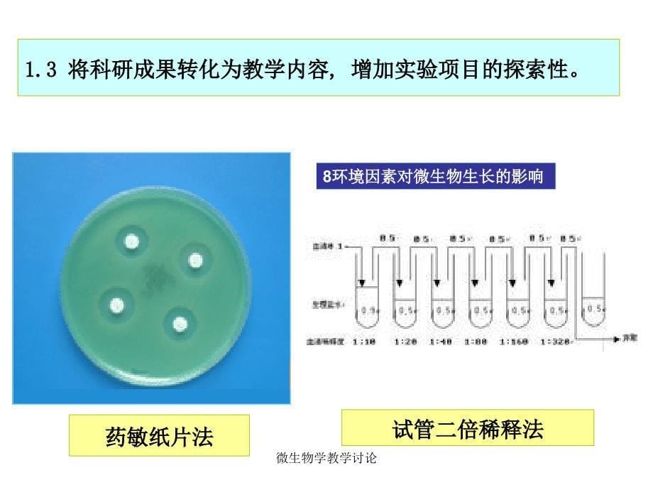 微生物学教学讨论课件_第5页