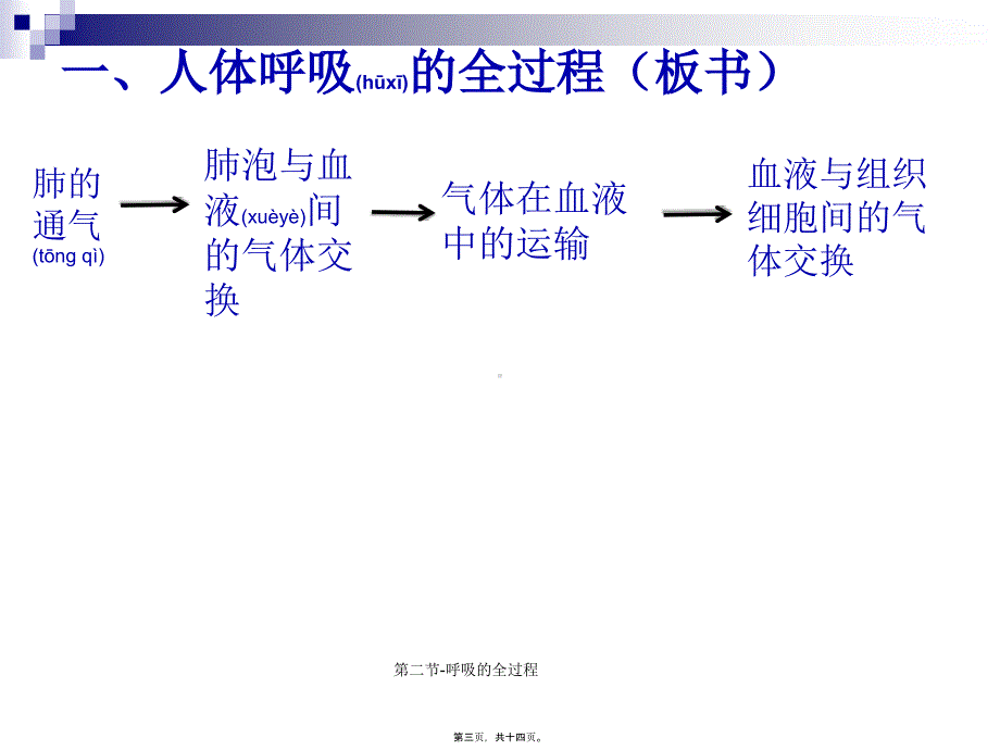 第二节呼吸的全过程课件_第3页