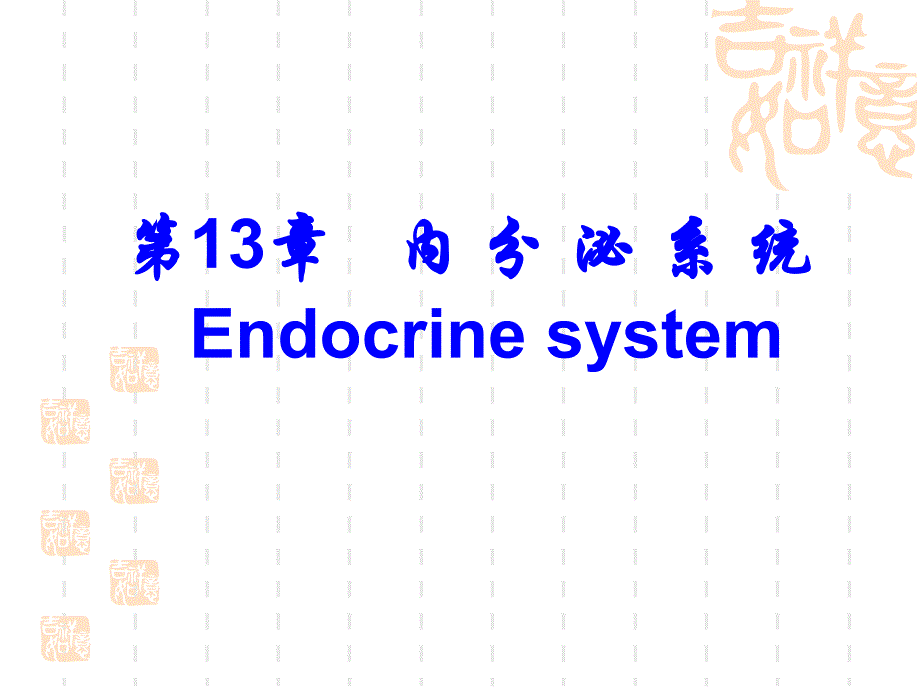 组织学与胚胎学：第13章 内分泌系统-芬_第1页