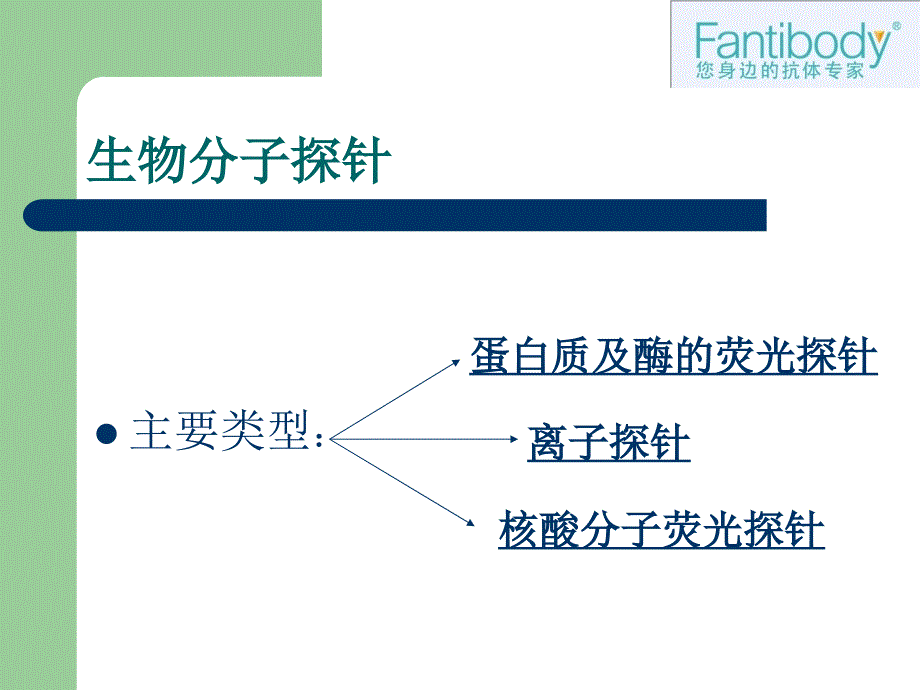 分子生物学常用核酸分子探针简介_第4页