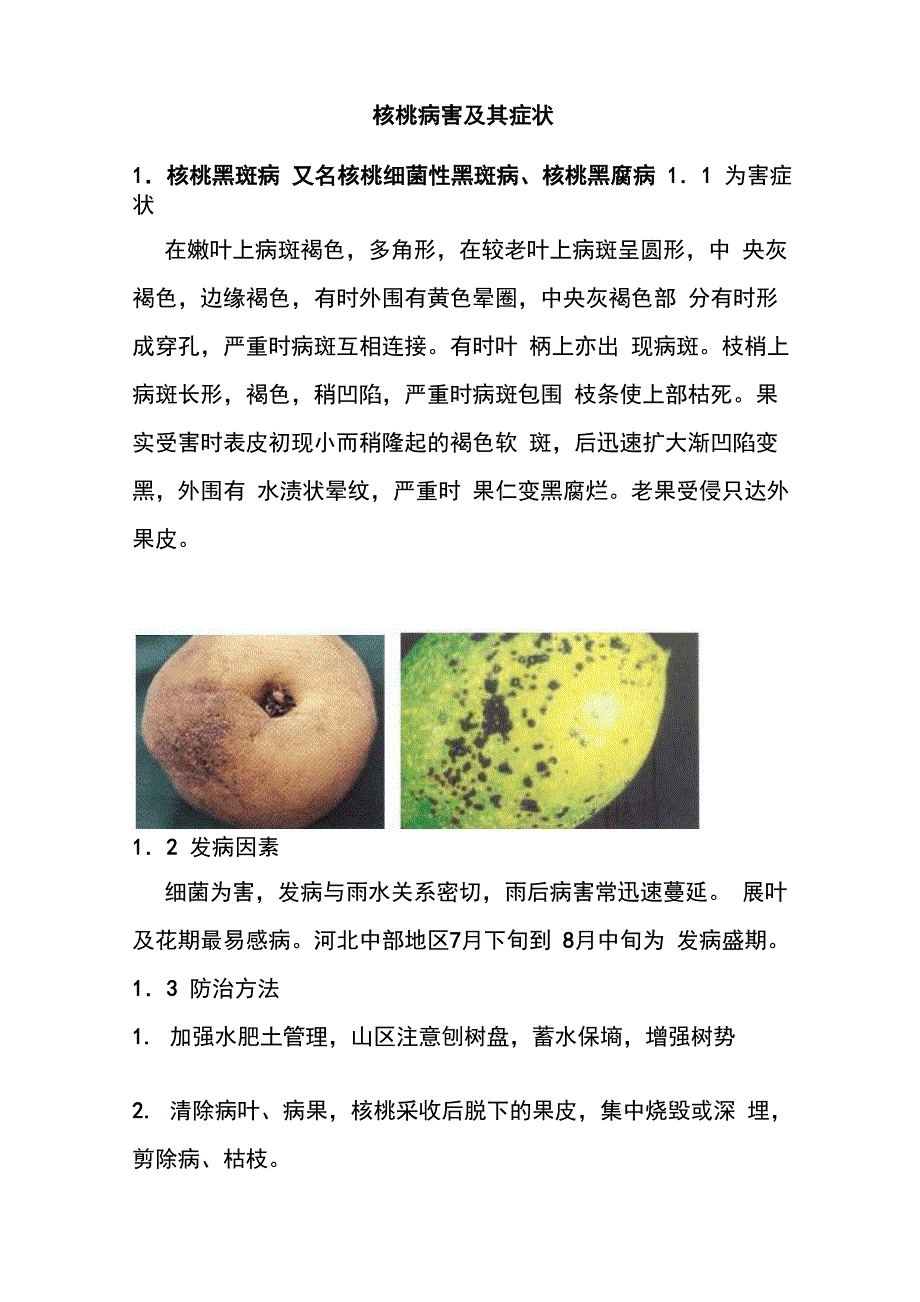 核桃病害及其症状_第1页