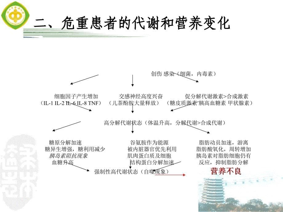 危重患者营养支持.ppt_第5页