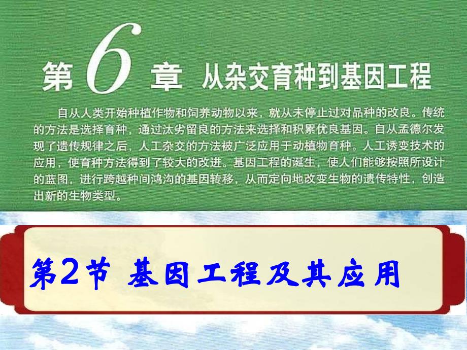 62基因工程及其应用_第1页