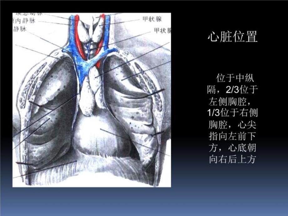 最新心脏疾病的超声诊PPT课件_第3页