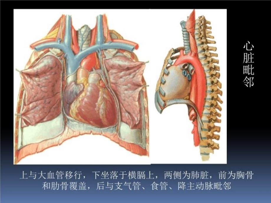 最新心脏疾病的超声诊PPT课件_第4页