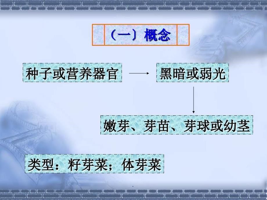 芽苗菜的无土栽培技术ppt课件_第5页