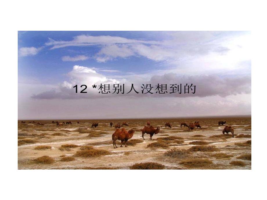 人教版语文三下想别人没想到的PPT课件05_第1页