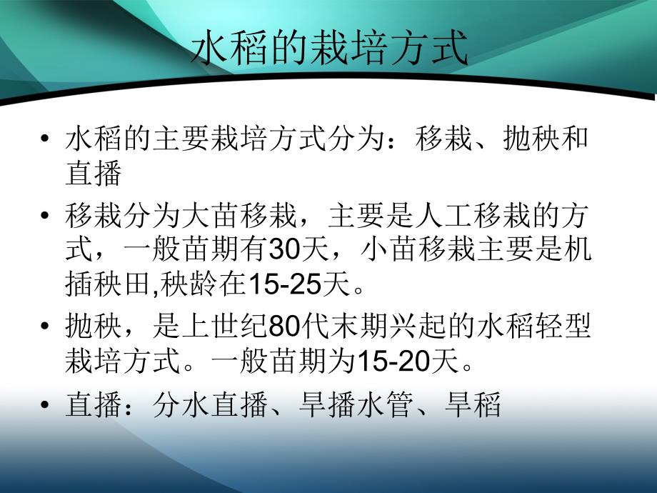 《水稻常用除草方案》PPT课件.ppt_第2页