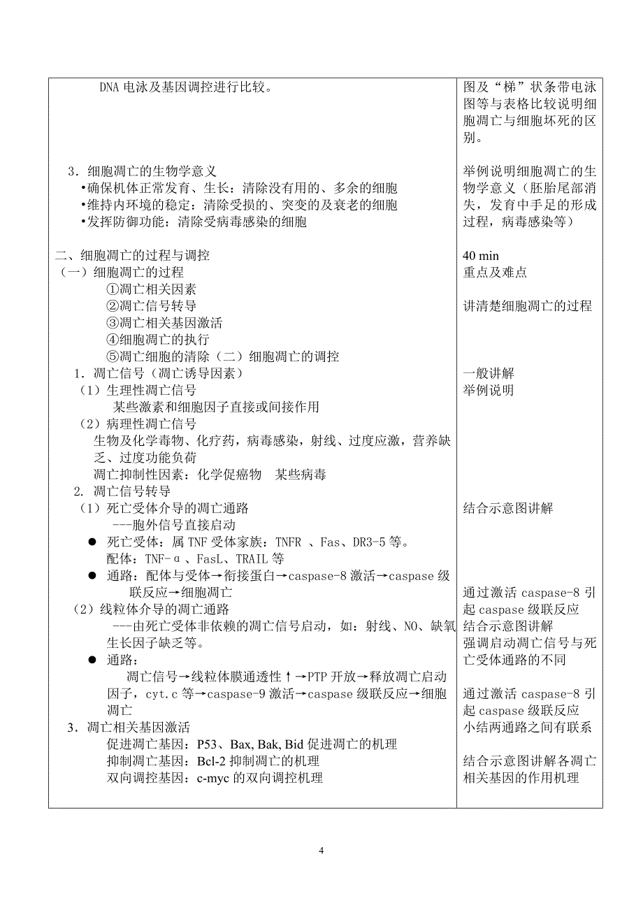 8增殖凋亡教案.doc_第4页