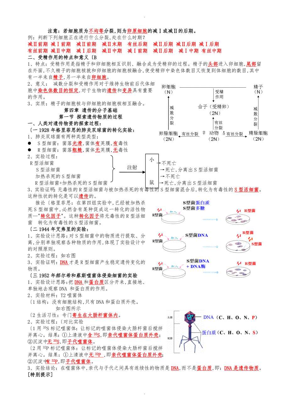 29中必修2遗传与进化一轮复习知识梳理xiao_第2页