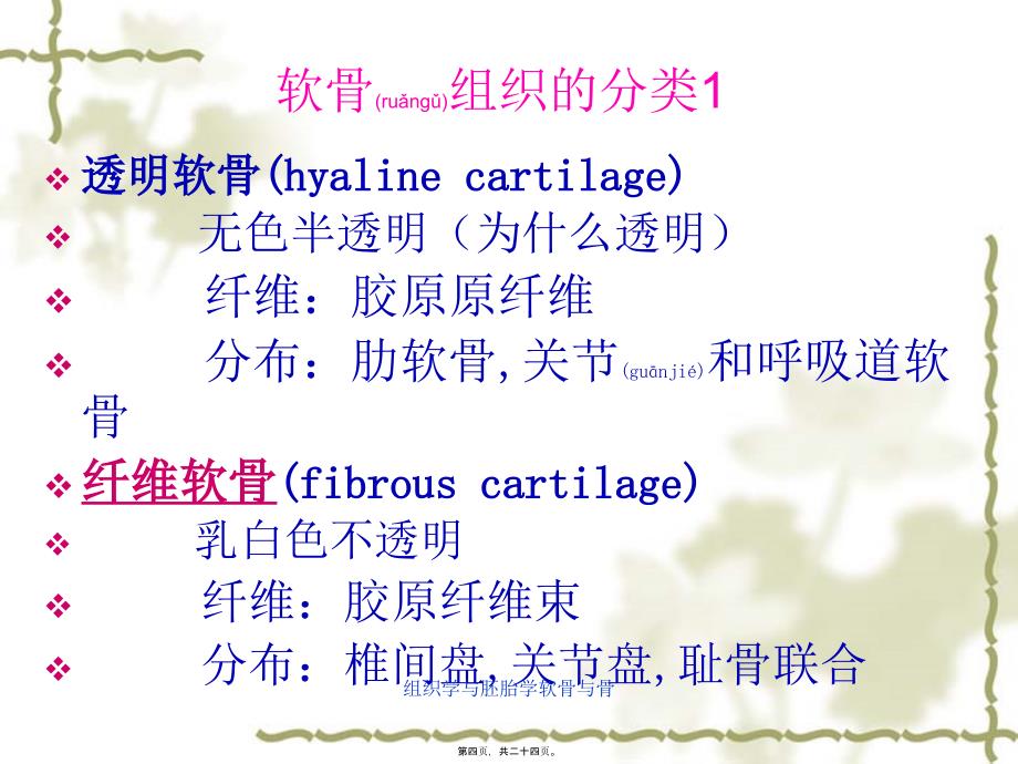 组织学与胚胎学软骨与骨课件_第4页