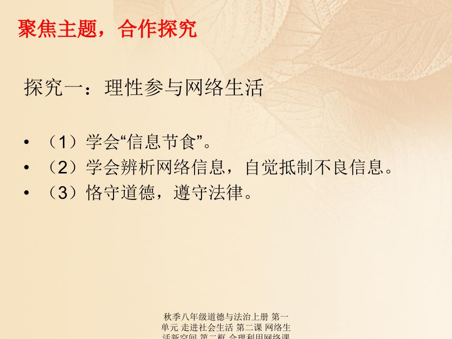 最新八年级道德与法治上册第二框合理利用网络课件_第3页