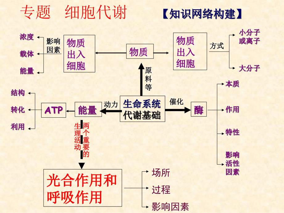 专题细胞代谢_第1页