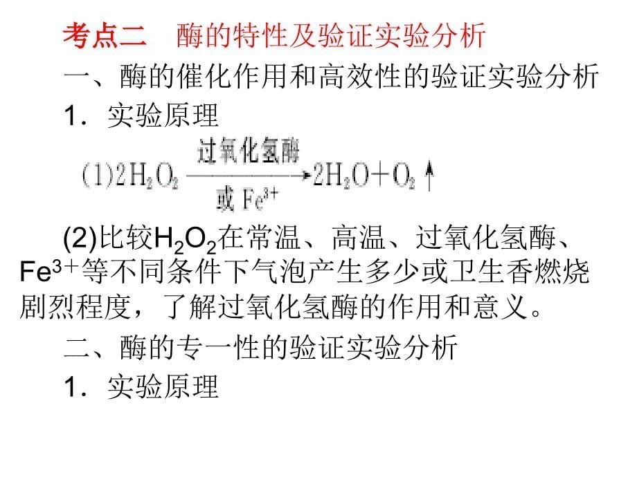 专题细胞代谢_第5页