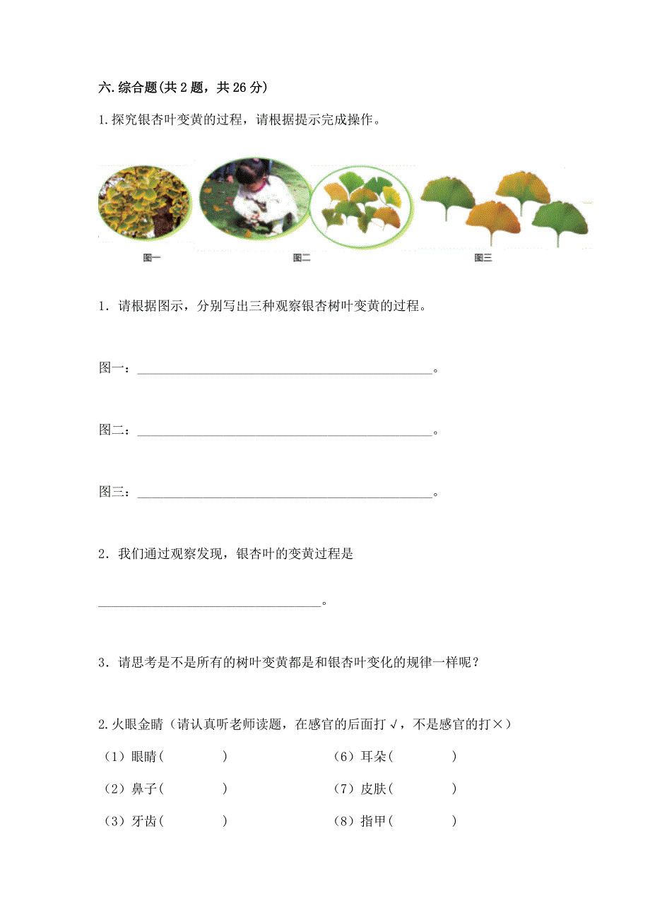 苏教版小学一年级上册科学期末测试卷推荐.docx_第3页