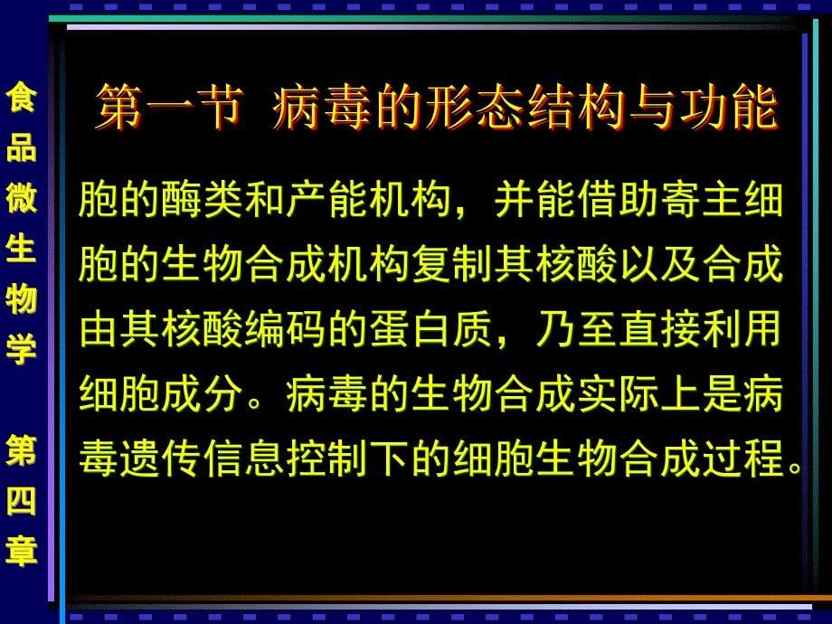 非细胞型微生物的形态与分类_第5页