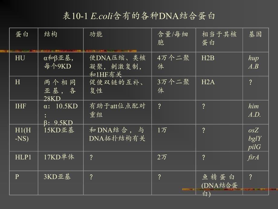 第十章基因组和染色体_第5页