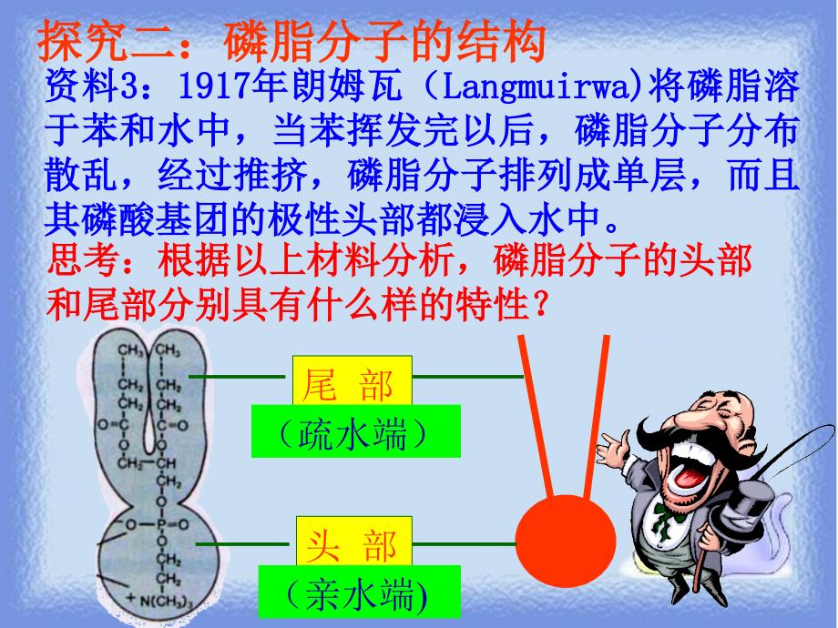 中图版细胞膜的结构与功能_第4页