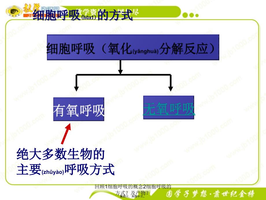 回顾1细胞呼吸的概念2细胞呼吸的方式？及产物？课件_第4页