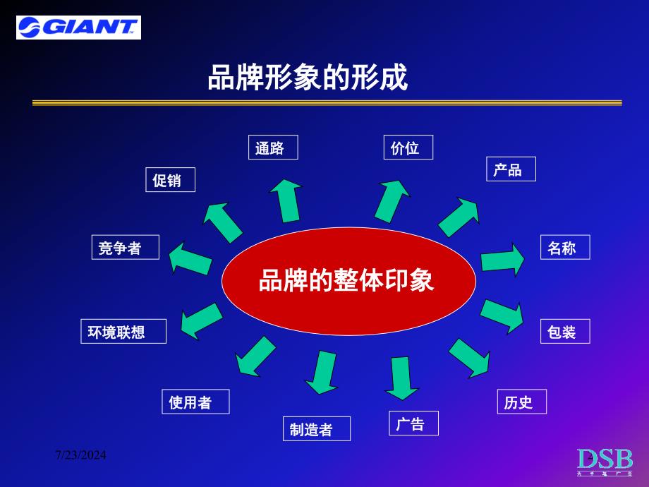 捷安特品牌传播达彼思_第2页