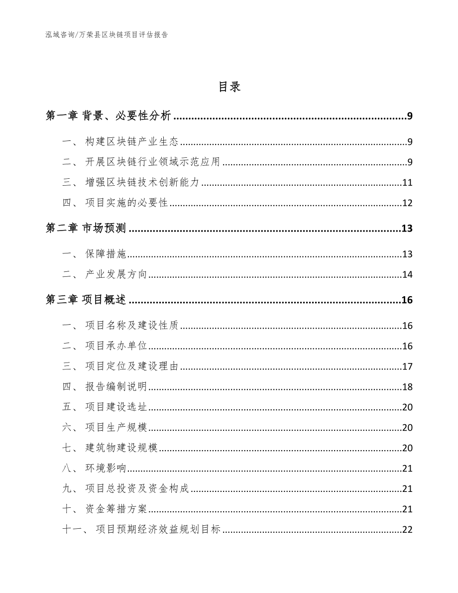 万荣县区块链项目评估报告参考模板_第3页