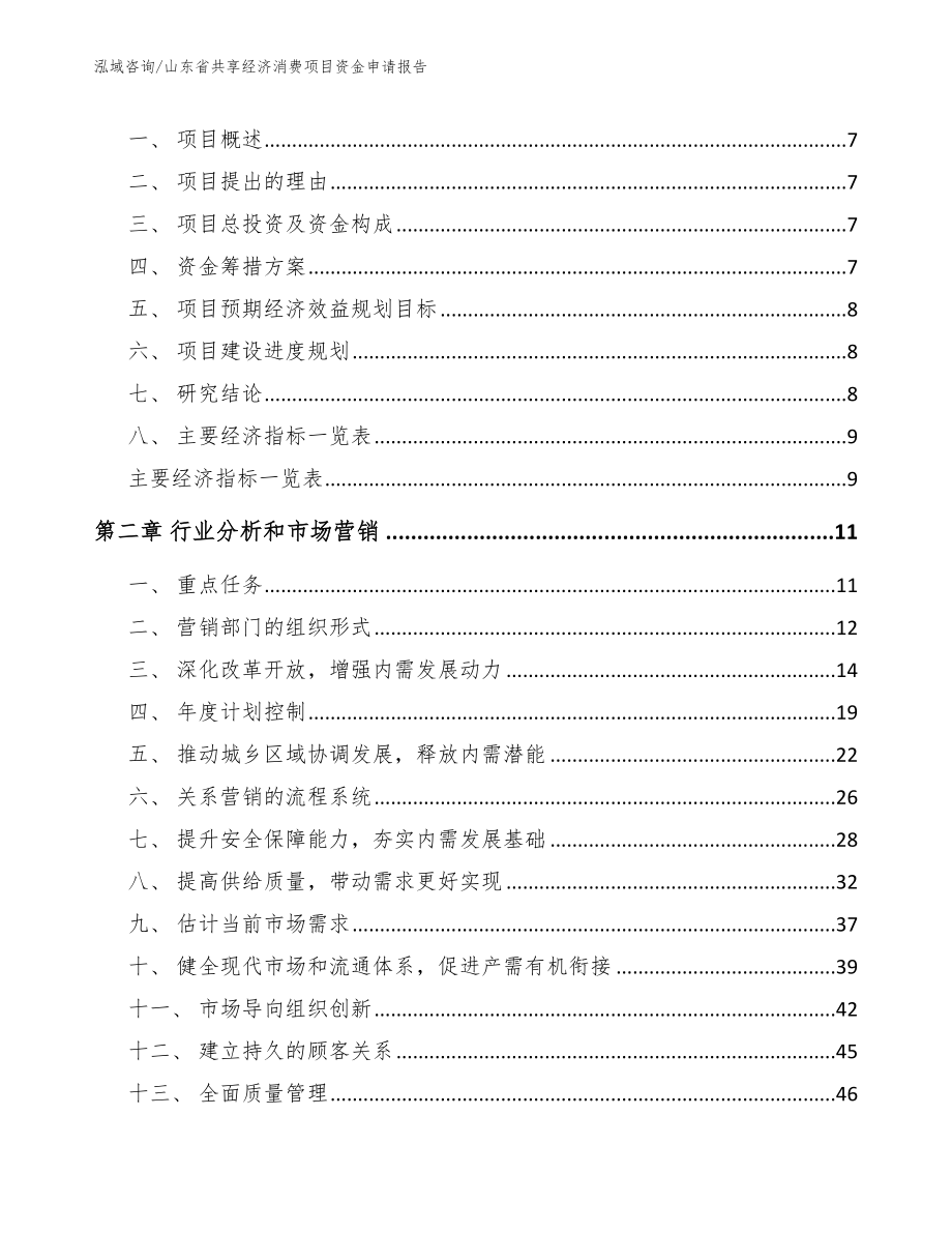 山东省共享经济消费项目资金申请报告_第2页