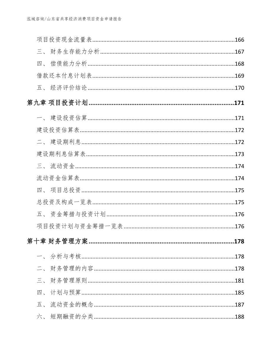 山东省共享经济消费项目资金申请报告_第5页