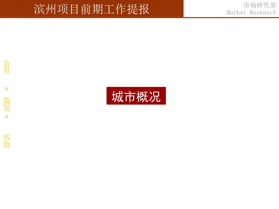 山东滨州房地产项目前期市场研究定位提报-81PPT-43M_第3页