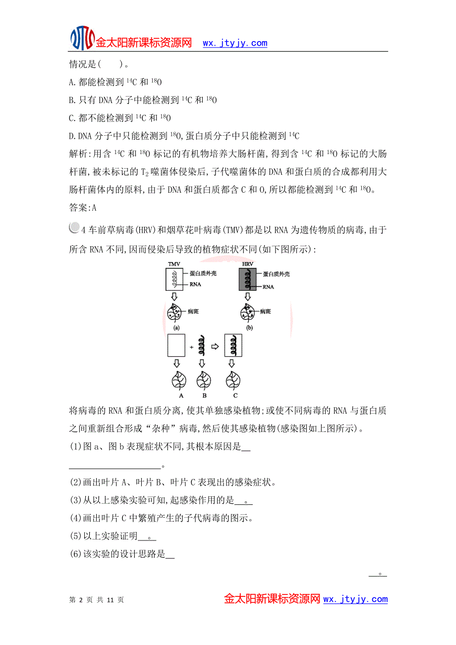 3.1 DNA是主要的遗传物质每课一练(人教版必修2).doc_第2页