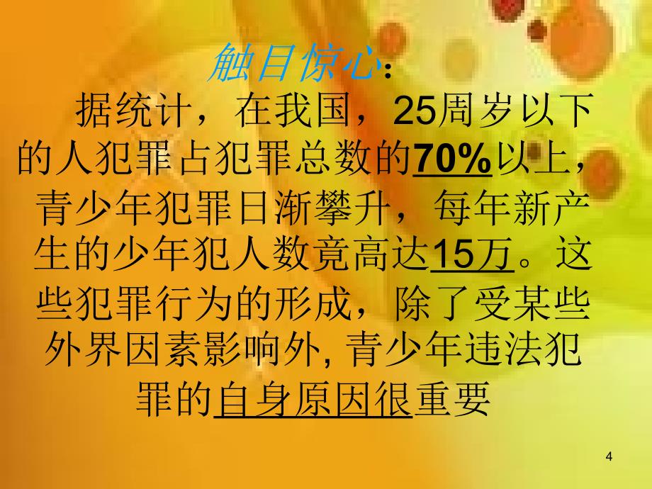 遵纪守法主题班会演示幻灯片课件_第4页