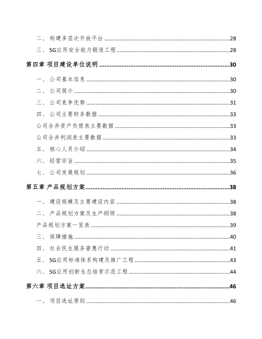石嘴山5G+融合媒体项目可行性研究报告(DOC 84页)_第3页