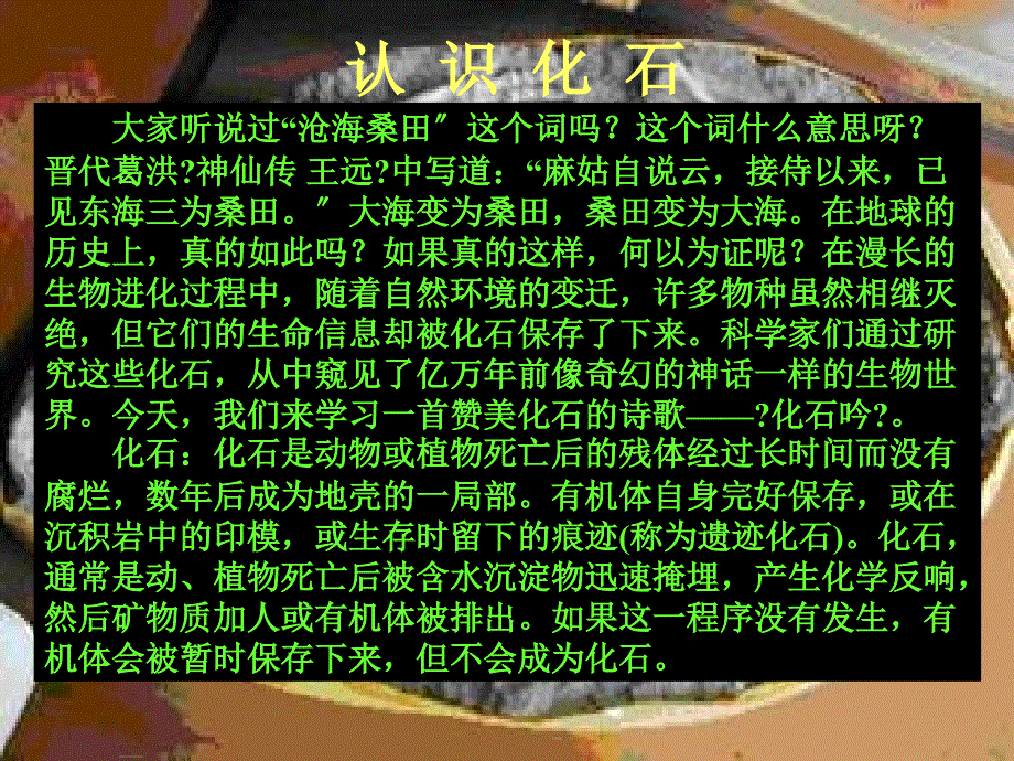 语文初中七年级上册化石吟课件_第3页