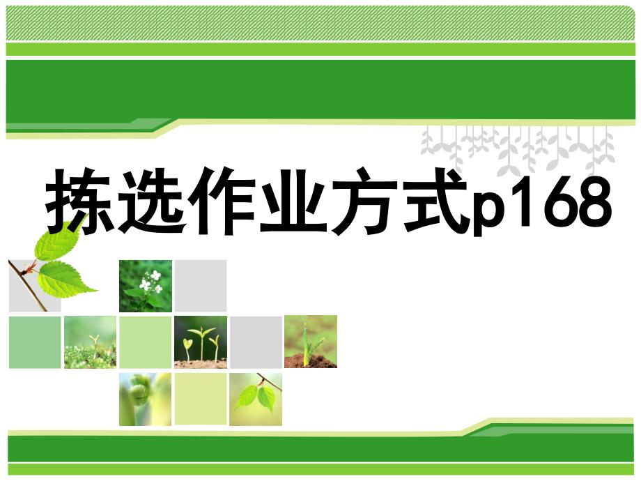 拣选作业方式_第1页