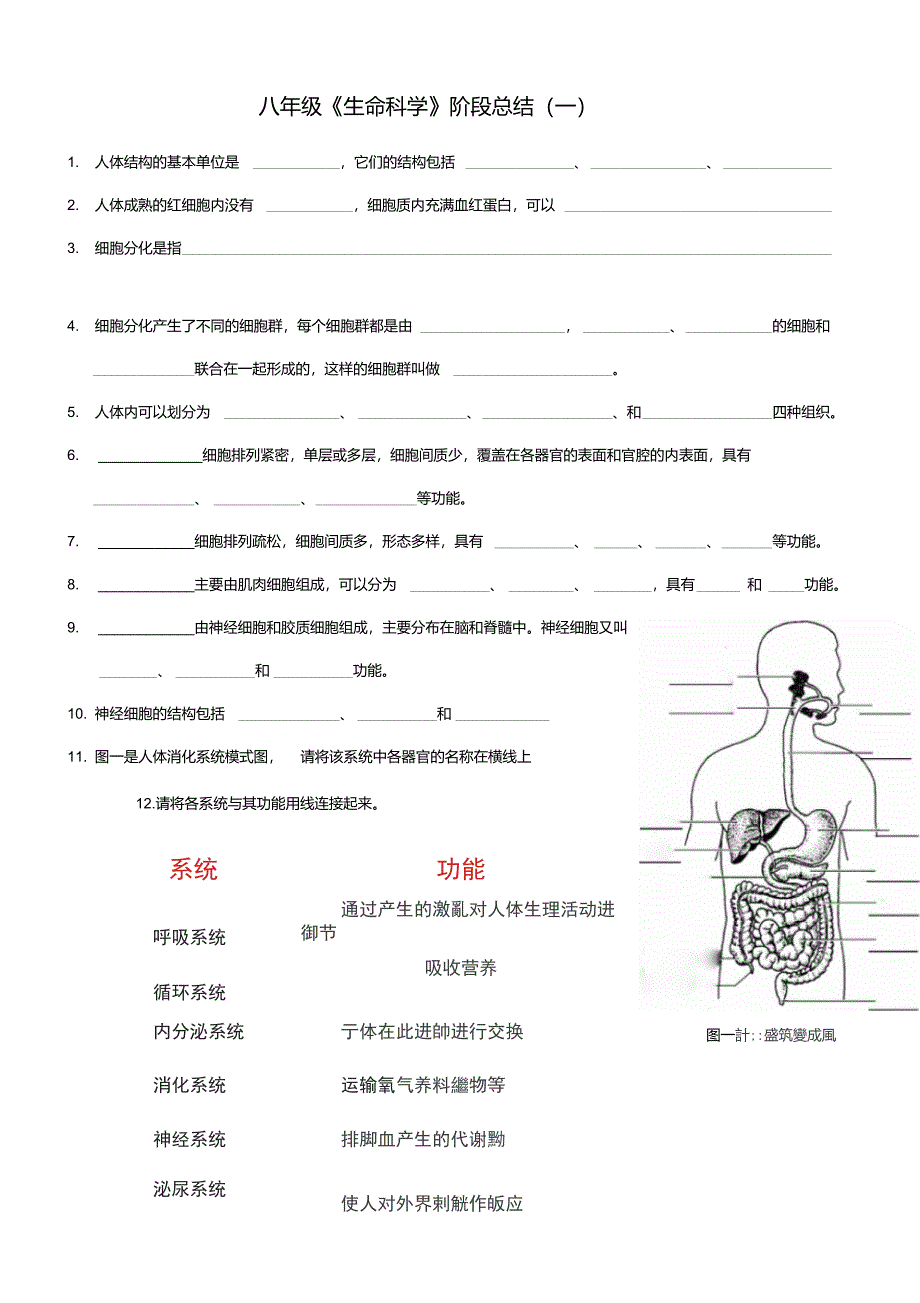 沪教版八年级生命科学阶段性总结(一)_第1页