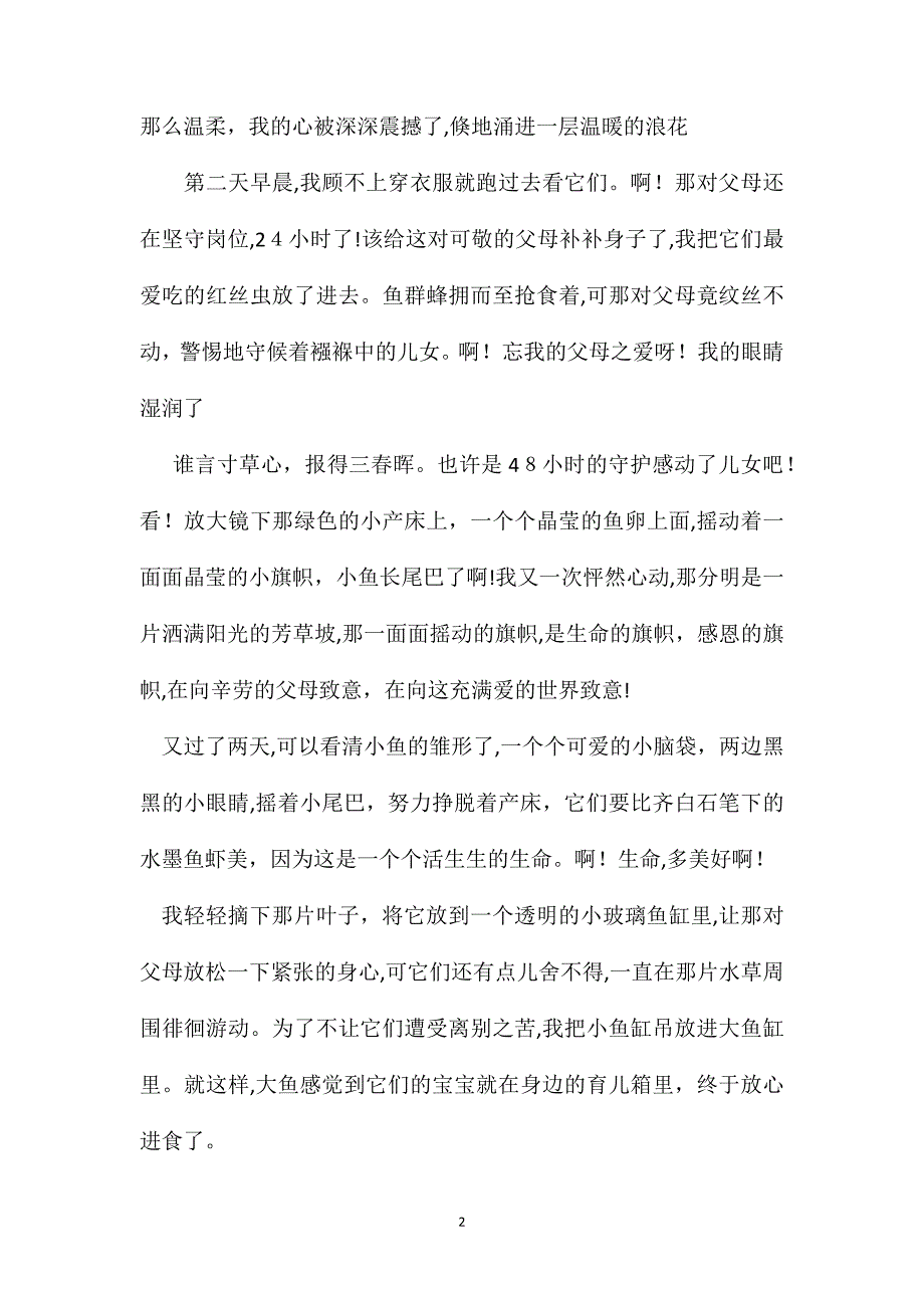 小升初满分作文爱的守护_第2页