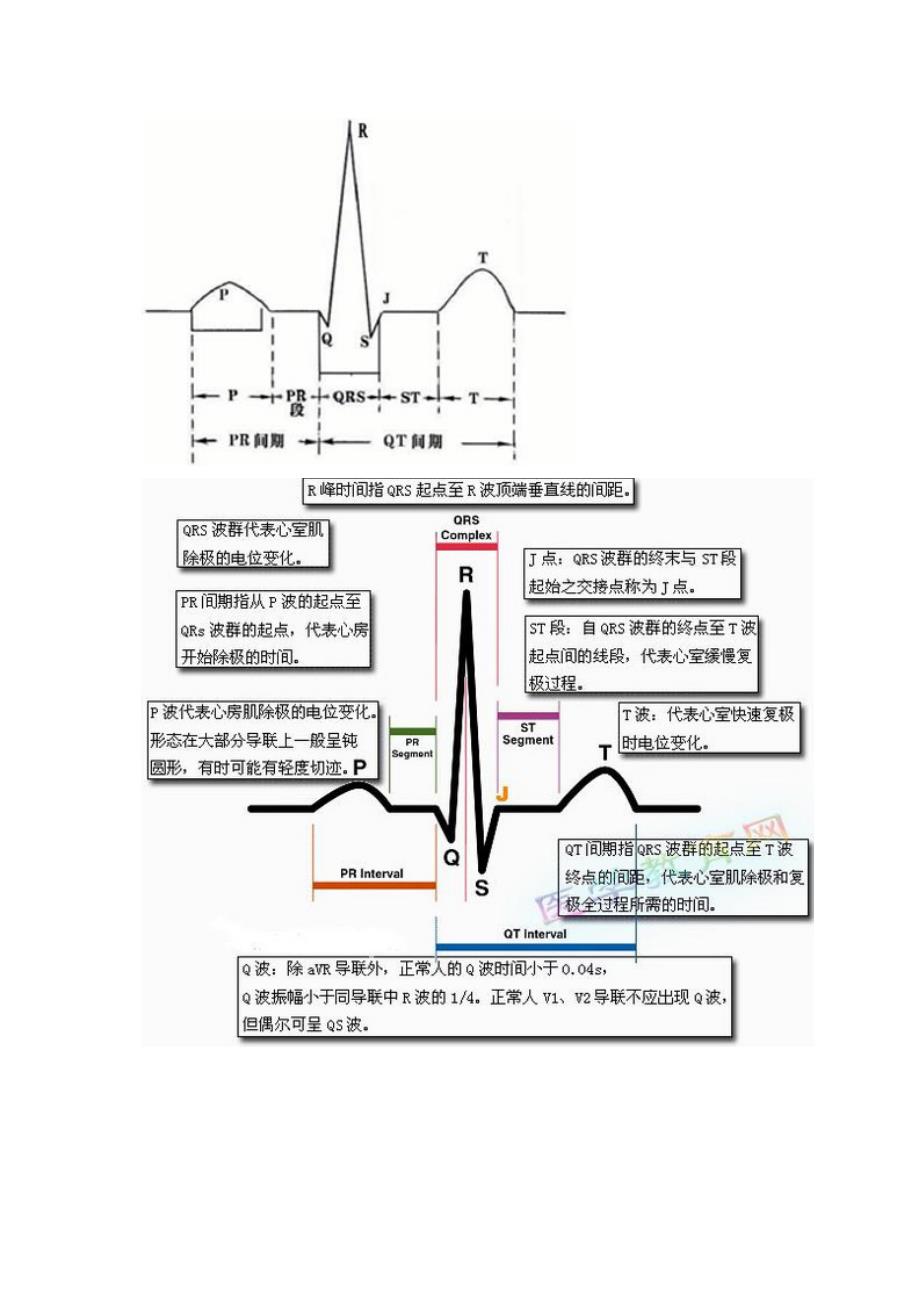 心电图基础知识_第1页
