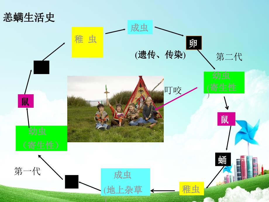 恙虫病PPT课件_第4页